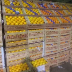 Mercado Central de Neuquén - Neuquen