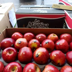 Mercado Central de Neuquén - Neuquen