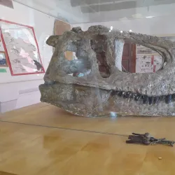 Museo Carlos Ameghino - Neuquen