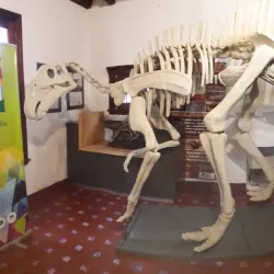 Museo Carlos Ameghino - Neuquen