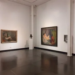 Museo Nacional de Bellas Artes Neuquén - Neuquen