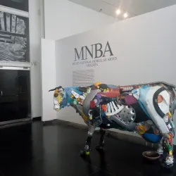 Museo Nacional de Bellas Artes Neuquén - Neuquen
