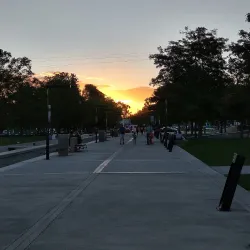 Parque Central - Neuquen