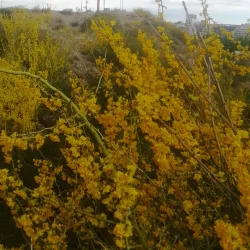 Parque Norte - Neuquen