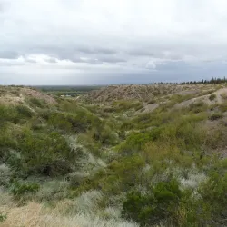 Parque Norte - Neuquen
