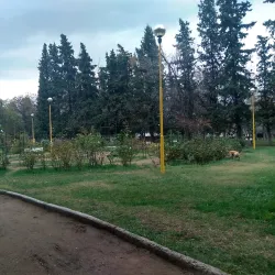 Parque Rosauer - Neuquen