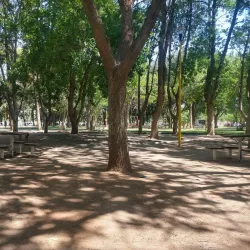 Parque Rosauer - Neuquen