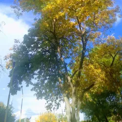Parque Rosauer - Neuquen