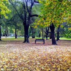 Parque General San Martín - Nueve de Julio