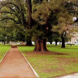 Plaza General Belgrano - Nueve de Julio