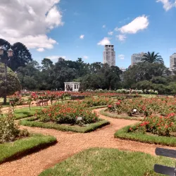 Bosques de Palermo (Palermo Woods) - Palermo