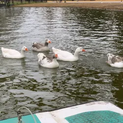Bosques de Palermo (Palermo Woods) - Palermo
