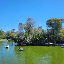 Bosques de Palermo (Palermo Woods) - Palermo