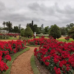 El Rosedal (The Rose Garden) - Palermo
