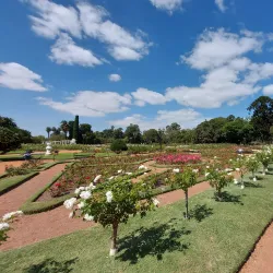 El Rosedal (The Rose Garden) - Palermo