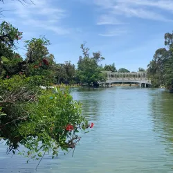 El Rosedal (The Rose Garden) - Palermo
