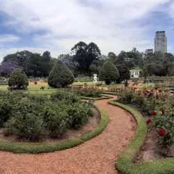 El Rosedal (The Rose Garden) - Palermo