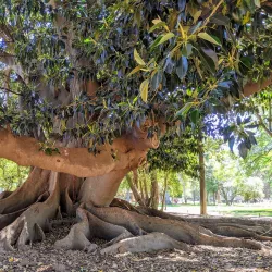 Parque Tres de Febrero - Palermo