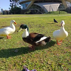 Planetario Galileo Galilei - Palermo