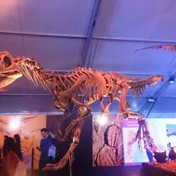 Costanera de Paraná - Parana