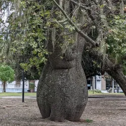 Museo Provincial de Bellas Artes Dr. Pedro E. Martínez - Parana