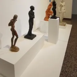 Museo Provincial de Bellas Artes Dr. Pedro E. Martínez - Parana