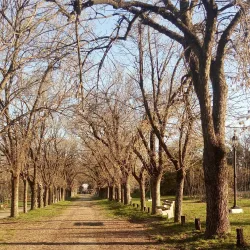 Parque Botánico de Paraná - Parana