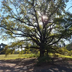 Parque Botánico de Paraná - Parana