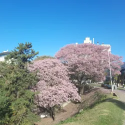 Parque Urquiza - Parana