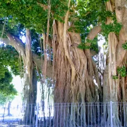 Parque Mitre - Paso de los Libres