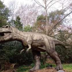 Parque Pilar - Pilar