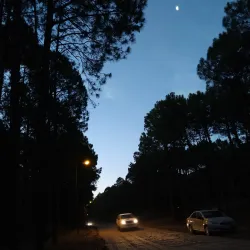 Bosque de Pinamar (Pinamar Forest) - Pinamar