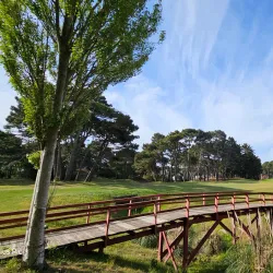 Golf Club Pinamar - Pinamar