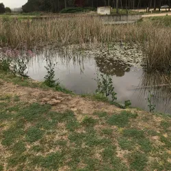 Parque de los Pioneros - Pinamar