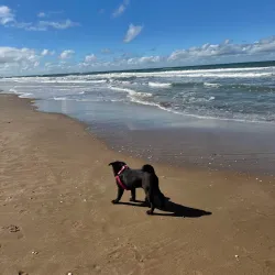 Playa de Ostende - Pinamar
