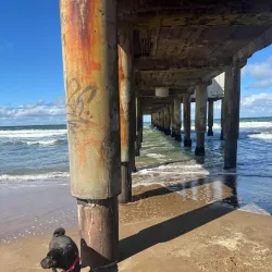 Playa de Ostende - Pinamar