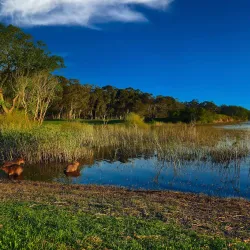 Reserva Natural de la Laguna de los Padres - Pinamar