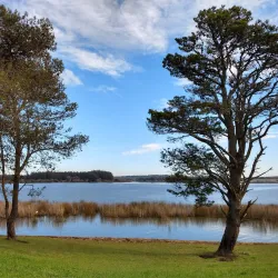 Reserva Natural de la Laguna de los Padres - Pinamar