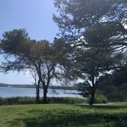 Reserva Natural de la Laguna de los Padres - Pinamar