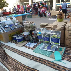 Mercado Artesanal - Presidencia Roque Sáenz Peña