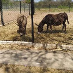 Reserva Natural Municipal - Presidencia Roque Sáenz Peña