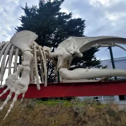 Ecocentro - Puerto Madryn