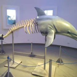 Ecocentro - Puerto Madryn