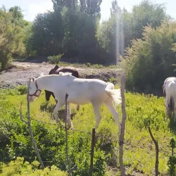 Gaiman - Puerto Madryn