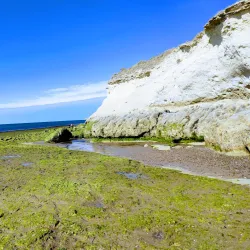 Laguna Punta Cuevas - Puerto Madryn