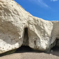 Laguna Punta Cuevas - Puerto Madryn