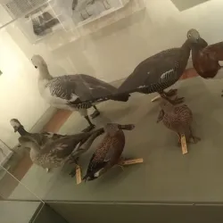 Museo Oceanográfico - Puerto Madryn