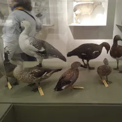 Museo Oceanográfico - Puerto Madryn