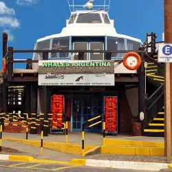 Península Valdés Whale Watching - Puerto Madryn