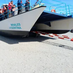 Península Valdés Whale Watching - Puerto Madryn